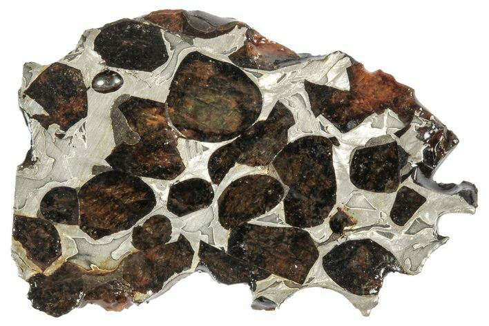Sericho Pallasite Meteorite ( g) Slice - Kenya #346444